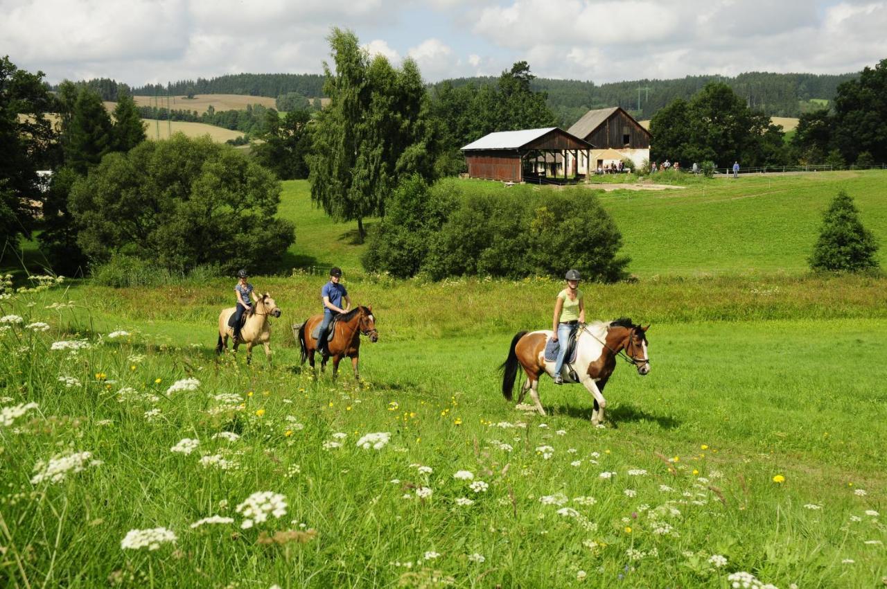 Hotel Lidmiluv Mlyn Sadek Exterior foto